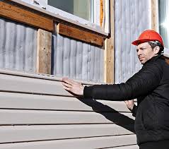 Best Siding Removal and Disposal  in Fruitland, IA